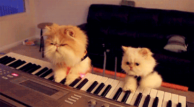 1470190527793686.gif 0 (5).gif